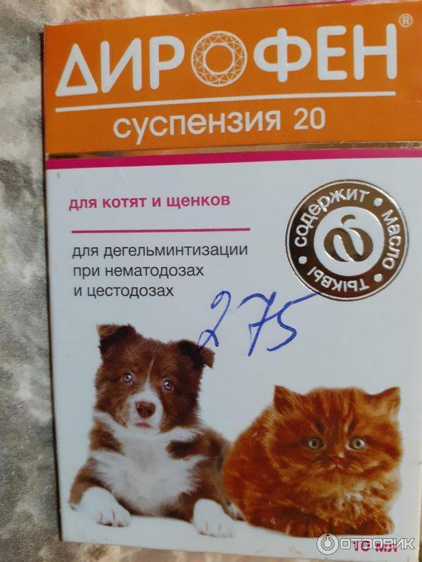Дирофен для кошек| инструкция по применению дирофена кошкам