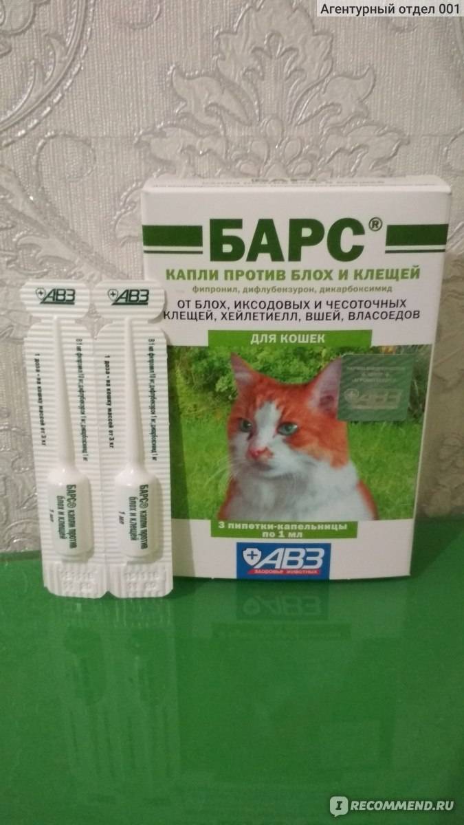 Инструкция по применению капель от блох и клещей «барс», правила обработки собак и кошек