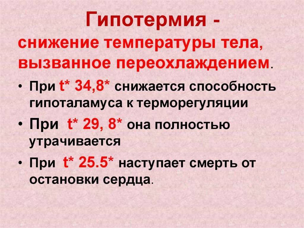 Температура тела у свиней: какая считается нормальной, как сбить?