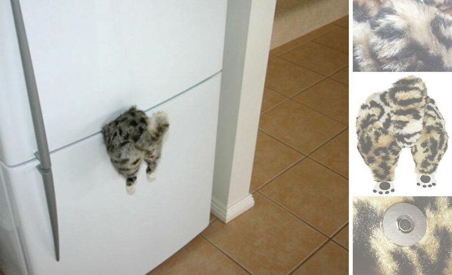 Правильный выбор двери для кошки