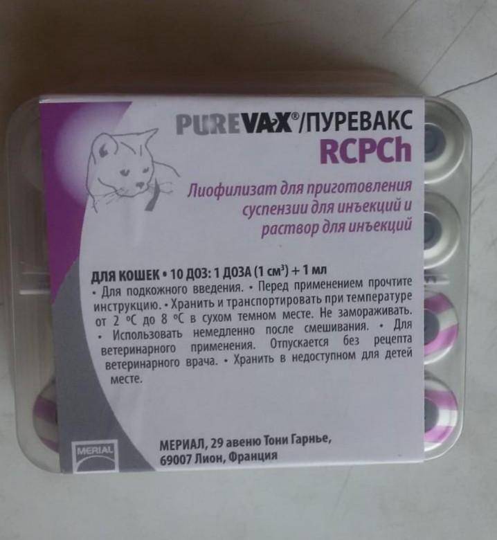 Пуревакс для кошек: инструкция, мнение ветеринаров и владельцев.