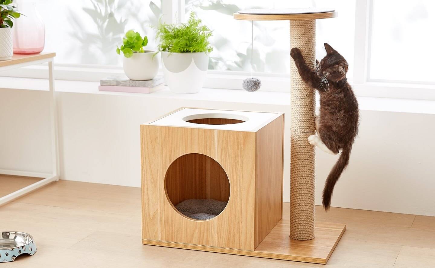 Домик для кошки своими руками | блог ветклиники "беланта"