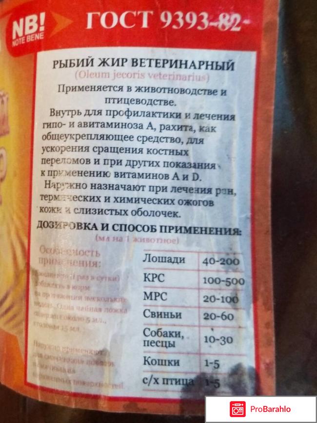 Рыбий жир кошкам дозировка — сложные вопросы простые ответы