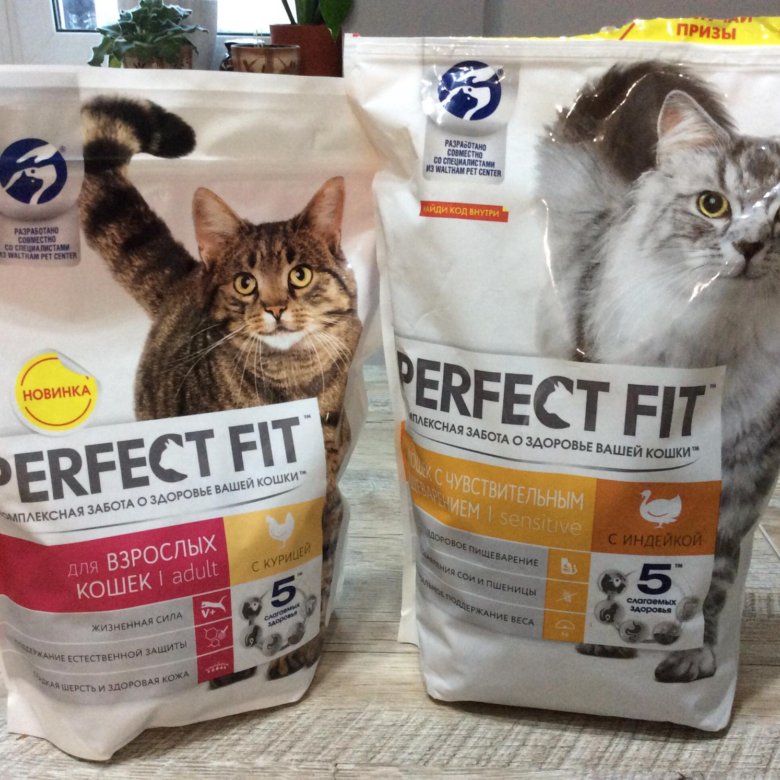 Корма для кошек perfect fit или корма для кошек purina one — какие лучше