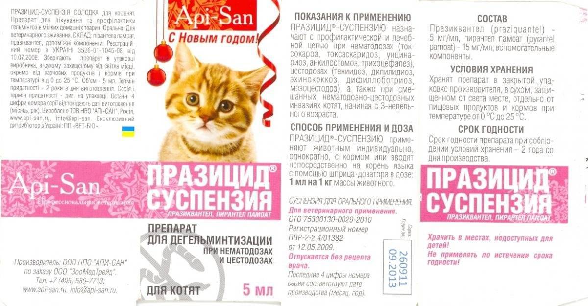 Дегельминтизация кошек и котят - как часто глистогонить, чем, в домашних условиях, лучшие препараты