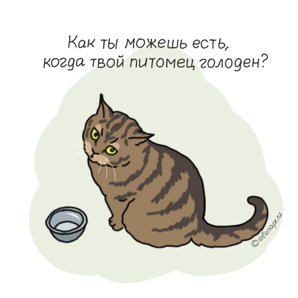 Голодным не буду 1. Голодный кот рисунок. Накорми кота голодного. Стих про голодного кота. Котенок хочет кушать.