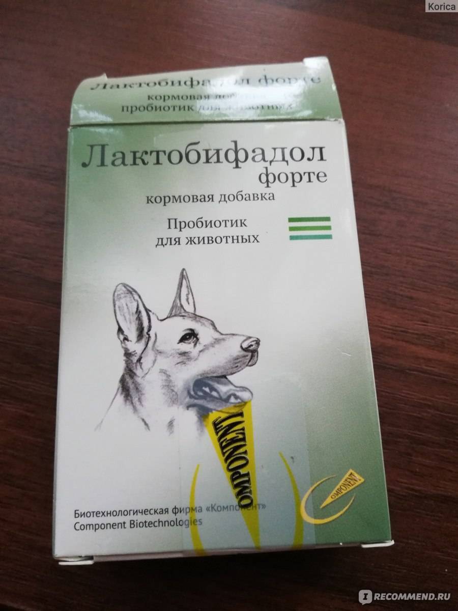 Информация про препарат для собак лактобифадол, которую нужно знать владельцам!