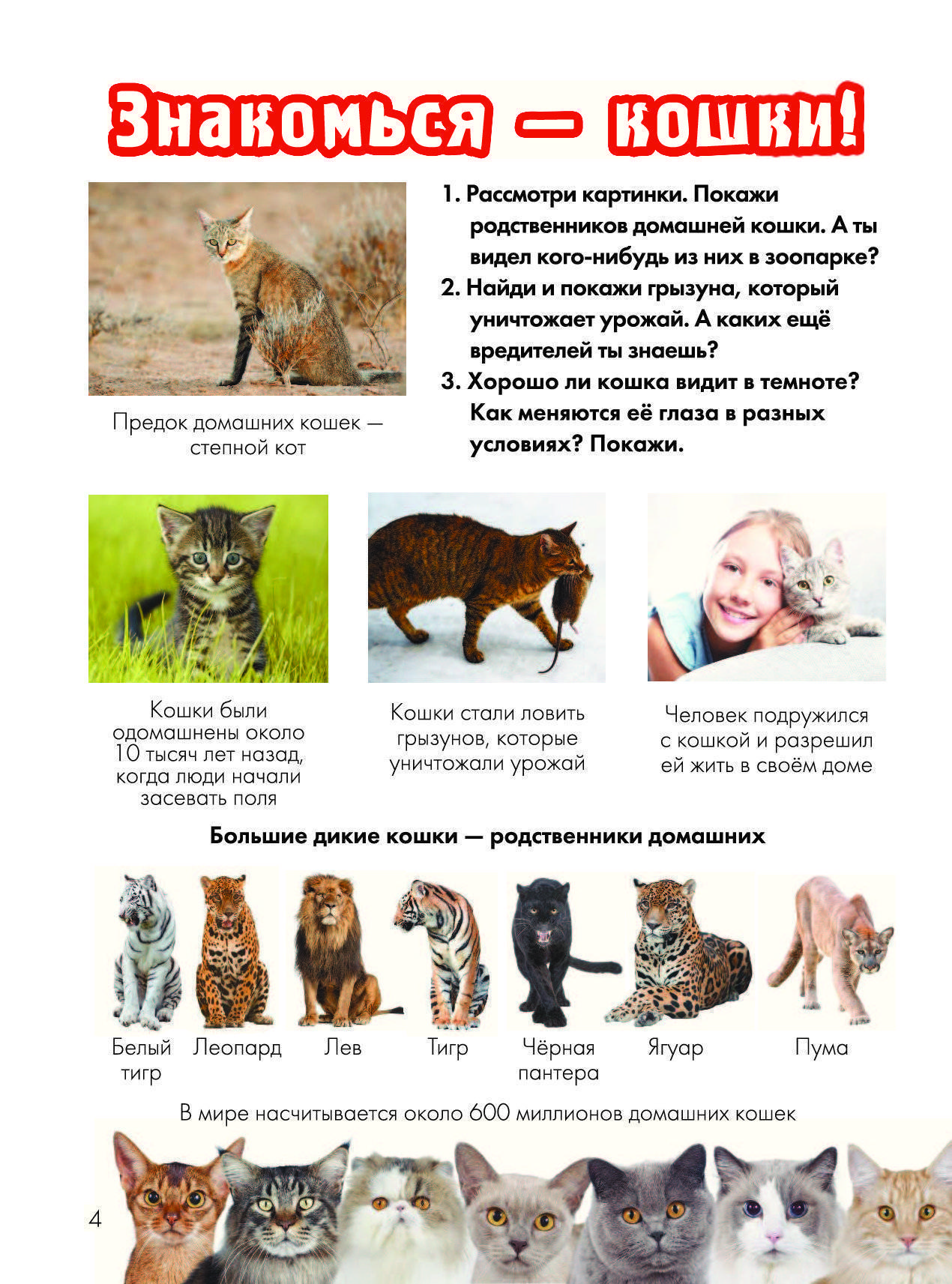 Как человек приручил кошку и когда? история одомашнивания котов