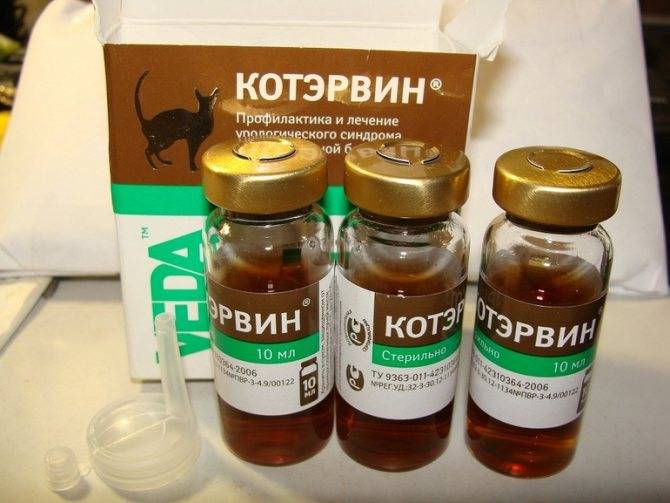 Котэрвин для кошек: инструкция по применению