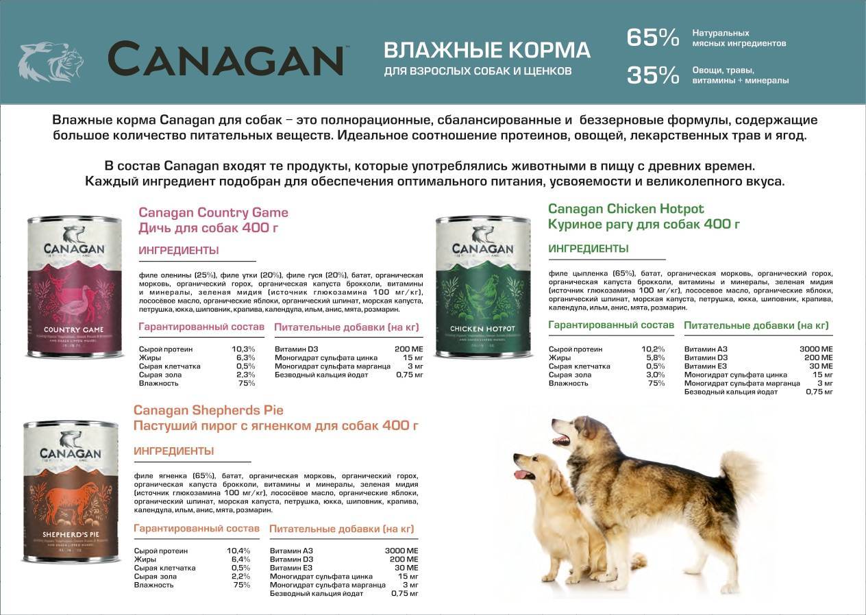 Корм для собак acana, собачий корм acana for dogs: официальный сайт «акана», состав корма acana для собак