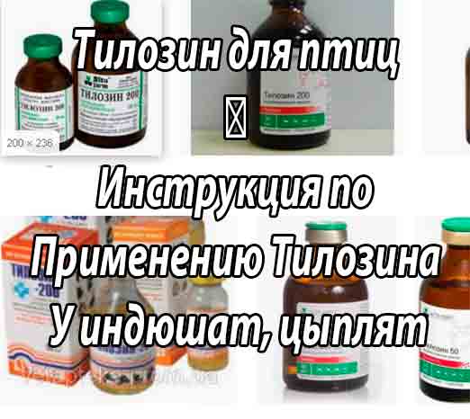 Тилозин 50, 50 мл/фл