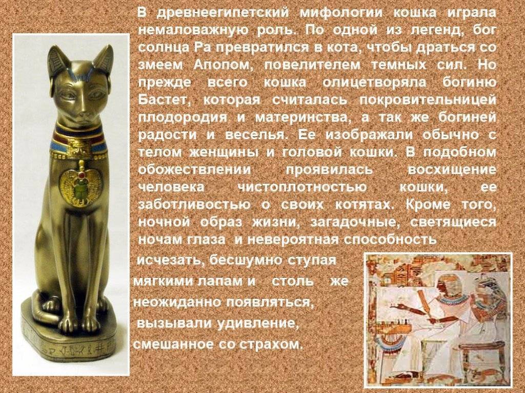 Кошки в древнем египте