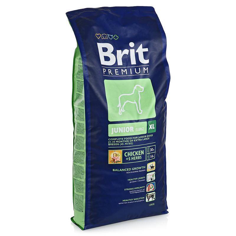Brit premium (брит премиум): обзор корма для кошек, состав, отзывы