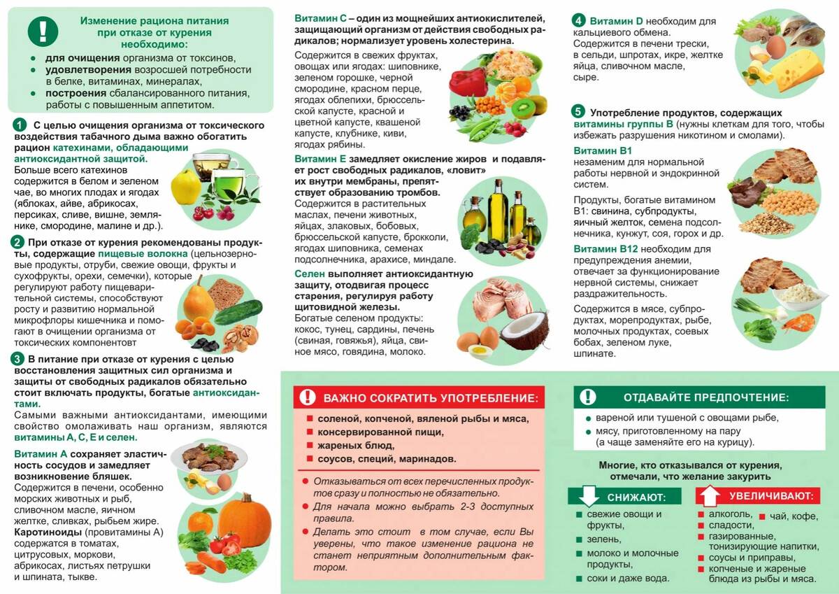 Запор у кошки — помощь питомцу в деликатной проблеме
