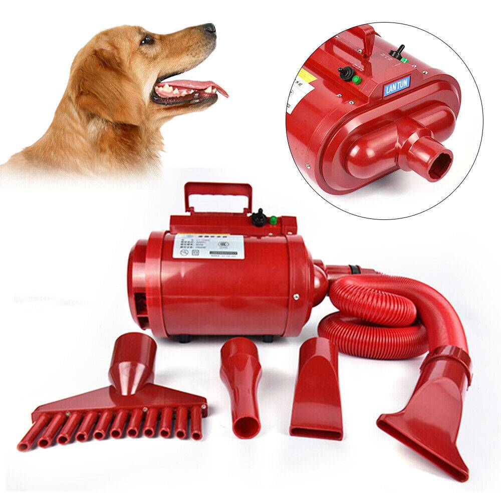 Пошаговая инструкция как самому подстричь йорка