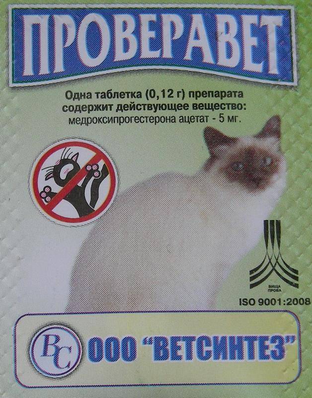 Кошкам можно соленое. Уколы антисекс для котов. Проверавет. Проверавет таблетки. Проверавет для кошек купить.
