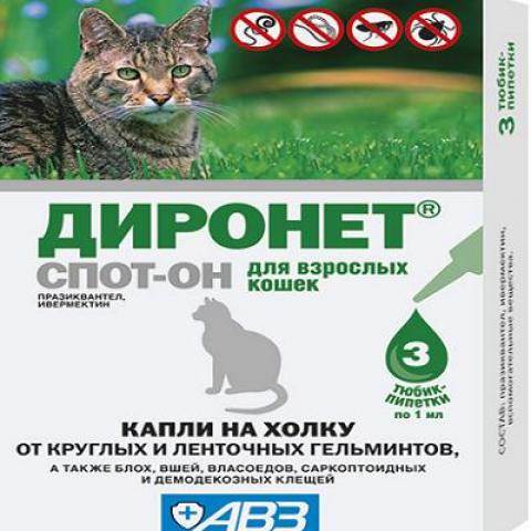 Капли на холку от глистов для кошек - обзор препаратов и нанесение