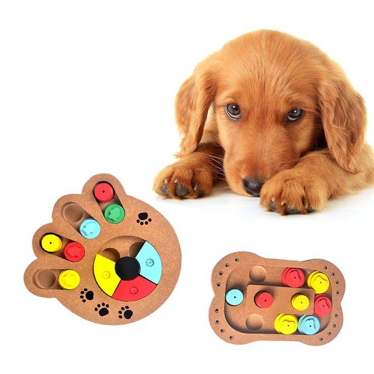 ᐉ какие бывают интеллектуальные игрушки для собак? - ➡ motildazoo.ru