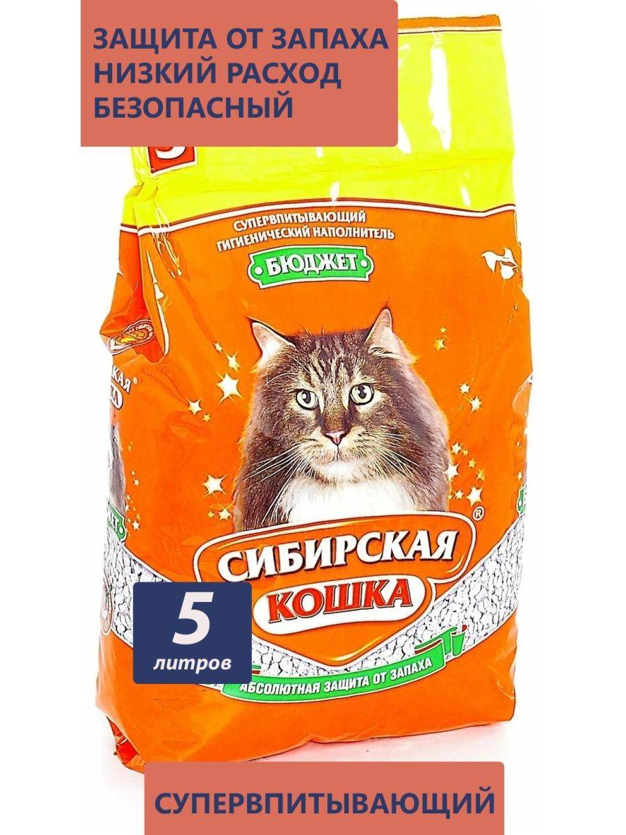 Какой лучше наполнитель для кошачьего туалета: виды, рейтинг, отзывы