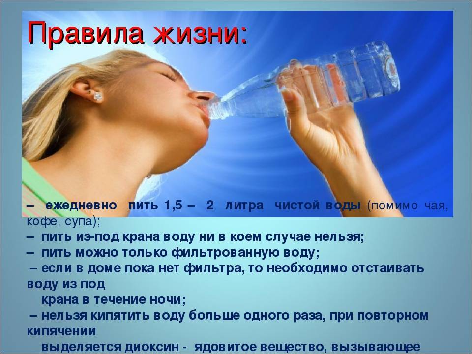 Морская свинка не ест и не пьет, что делать? причины отказа от еды.
