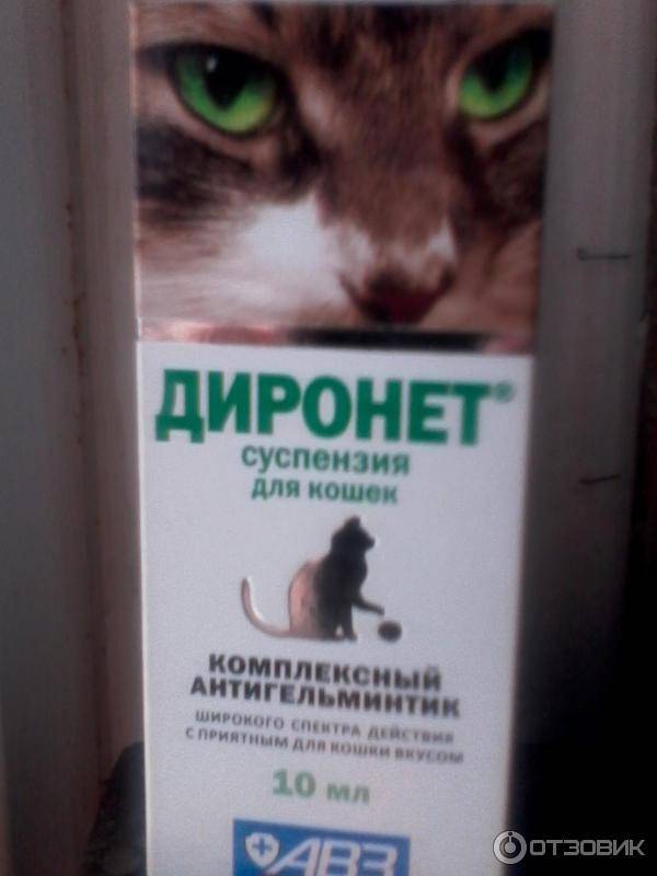 Диронет спот–он для кошек: инструкция по применению