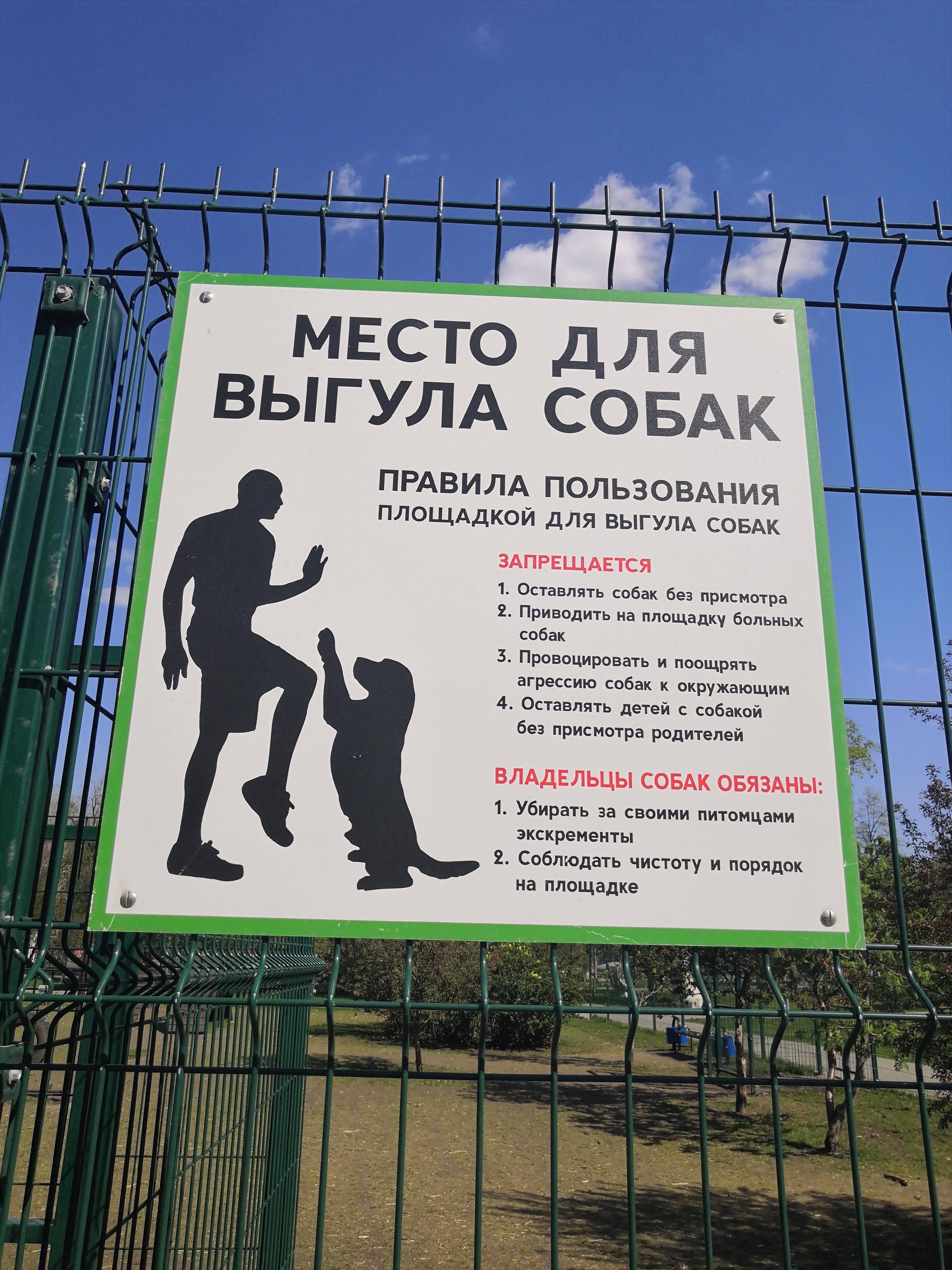 Куда жаловаться на выгул собак на детской площадке: три варианта подачи жалобы