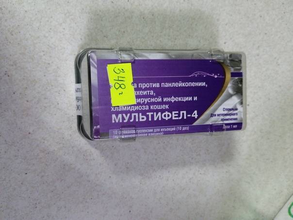 Мультифел 4: инструкция по применению вакцины для кошек, побочные эффекты и противопоказания