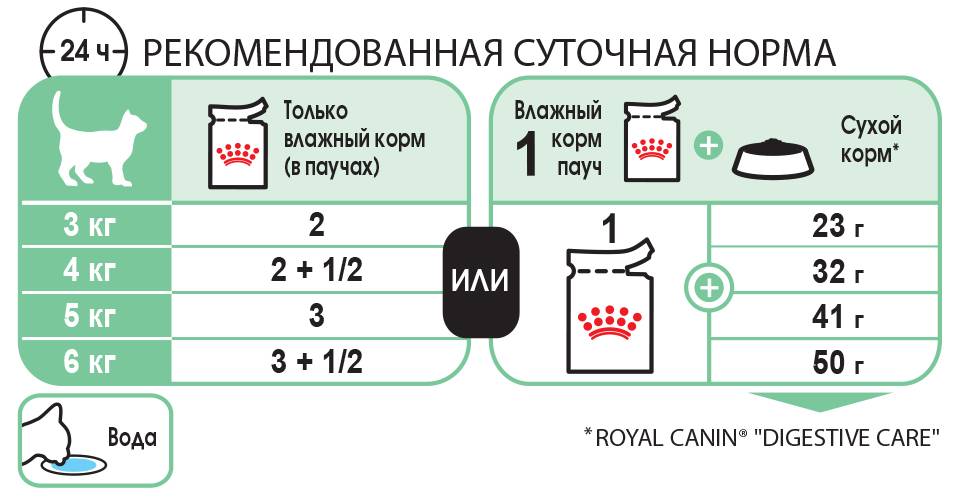 Как кормить котенка?