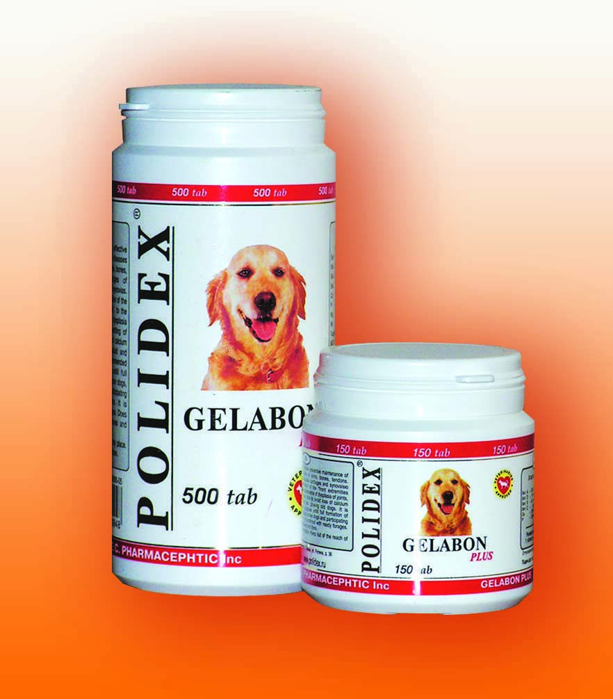 Полидекс – витамины для собак: инструкция по применению, описание комплексов, отзывы