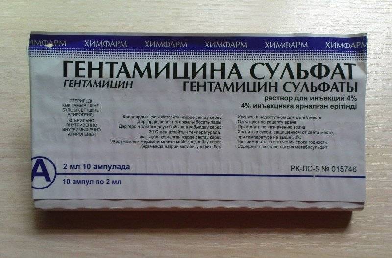 Гентамицин для кошек: характеристика препарата, показания к применению_ | wwwcat.ru