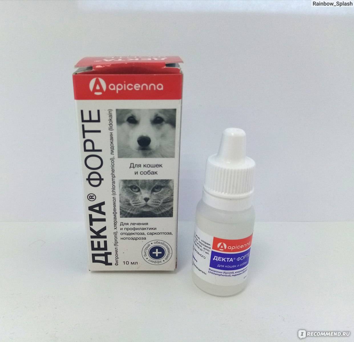 Лекарство от ушного клеща у кошек: лечение, эффективные препараты