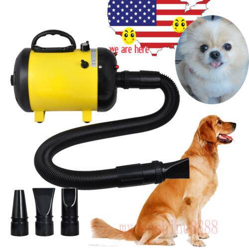 5 безопасных ошейников для дрессировки собак из aliexpress