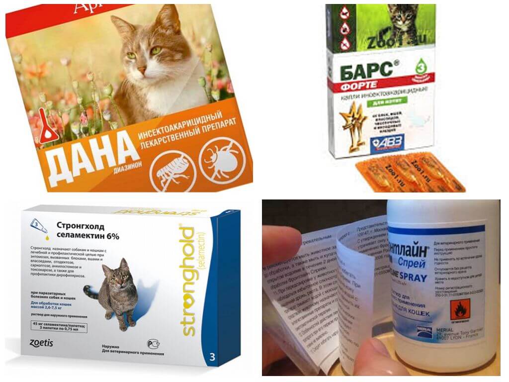 Капли от клещей для кошек - обзор популярных марок, их плюсы и минусы