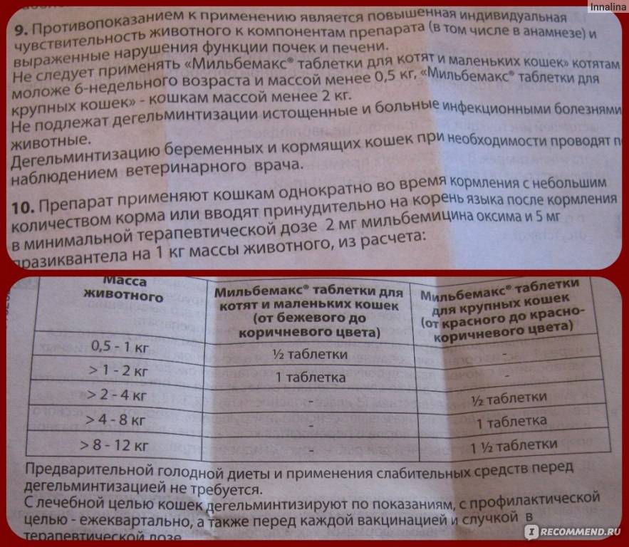 Тронцил-к для кошек: антигельминтная защита питомца