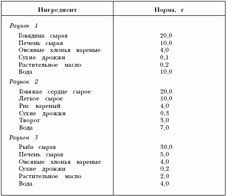 Чем кормить котенка?