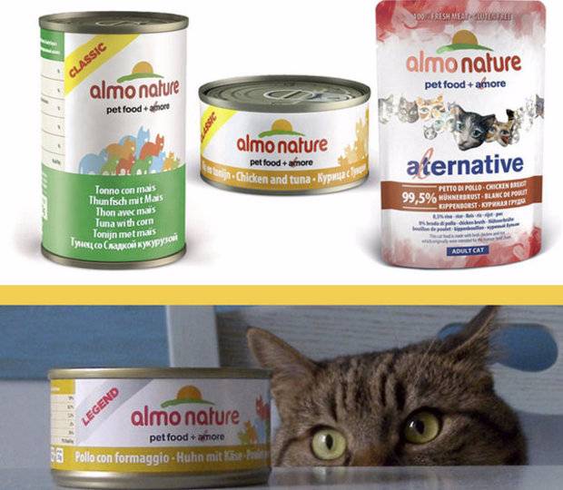 Almo nature (корм для кошек и котят): описание