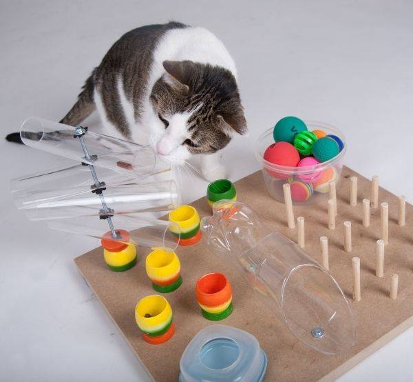 Из чего сделать игрушку для любимого кота: 10 классных идей