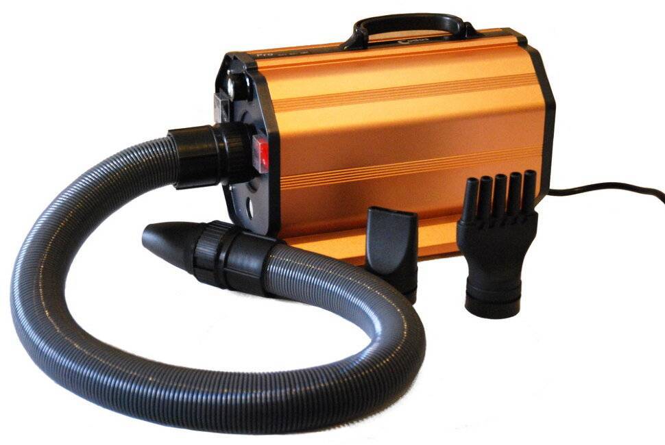 Уход за японским шпицем - груминг, секретах ухода за шерстью