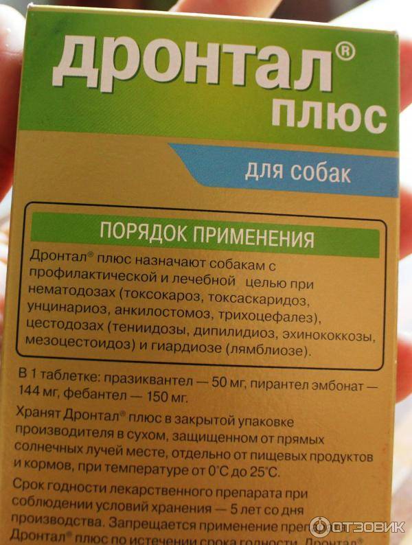 Холисал – современный стоматологический препарат с выраженным анальгезирующим, противовоспалительным и антибактериальным эффектом