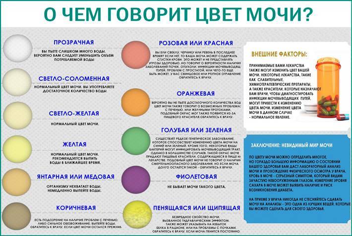 Чем болеют морские свинки