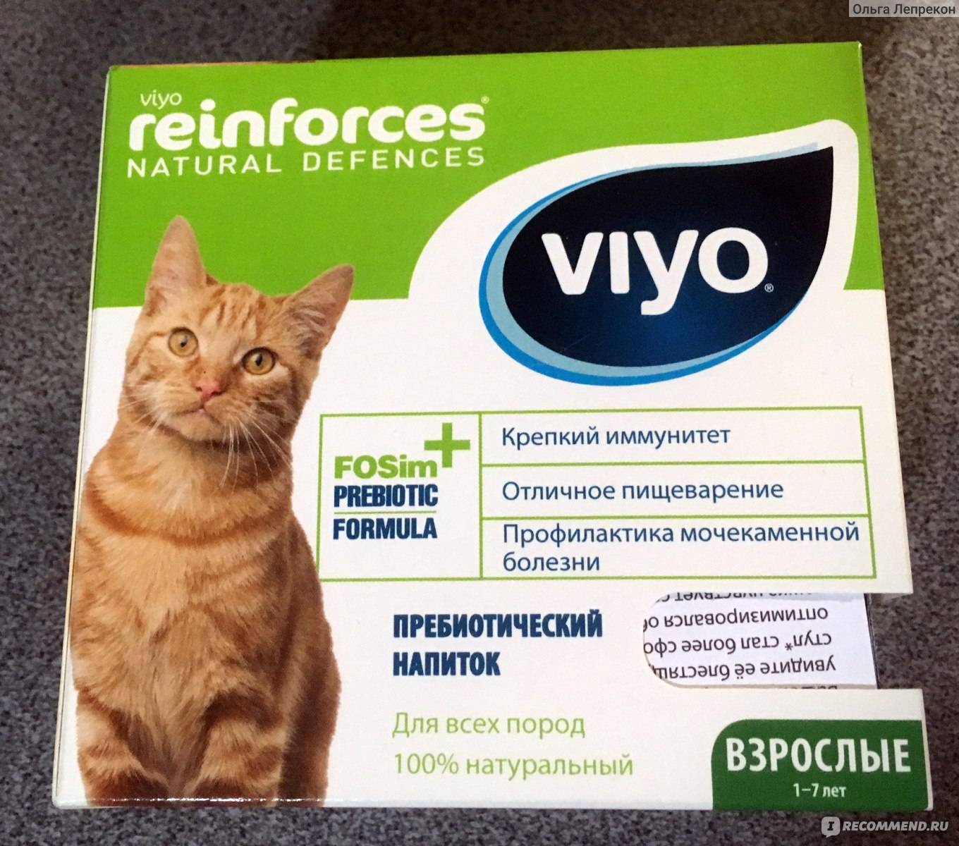 Viyo для кошек и котов: инструкция по применению, состав, показания к использованию для взрослых животных и котят, отзывы