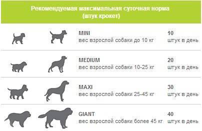 Натуралка для собак. что покупать и как при этом экономить.(wolcha.ru)