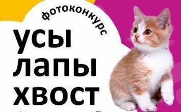 Проживание в отеле с домашними животными