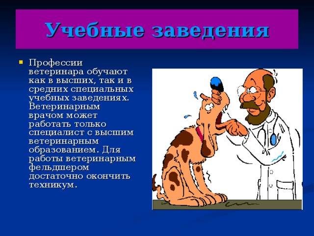 Профессия ветеринар презентация