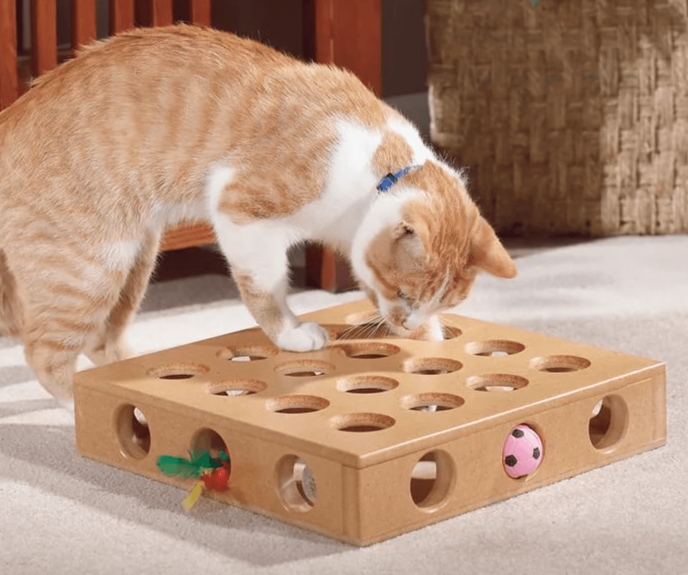 Как сделать игрушку для кота? игрушки для кошек и котят своими руками