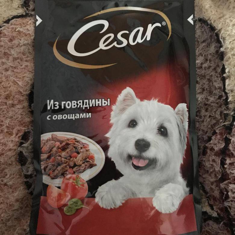 Цезарь корм для собак какого класса