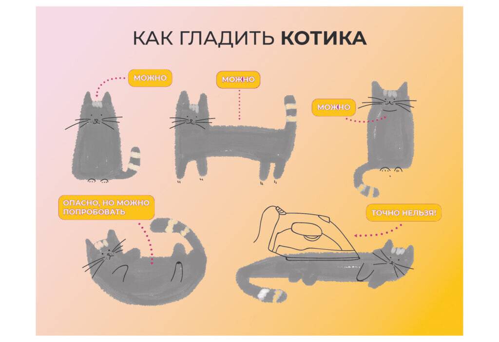 Почему мурлыкают кошки когда их гладишь: как это происходит и откуда издаётся звук
