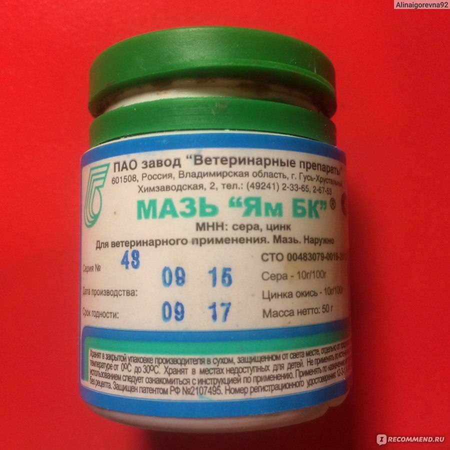 Мазь для кошек от лишая инструкция по применению: ям бк, клотримазол, серная, цинковая, аверсектиновая. как и чем мазать