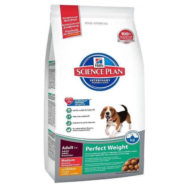 Готовые корма для собак hill’s: состав, преимущества, обзор линейки