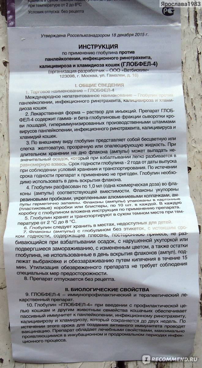 Глобфел-4 для кошек инструкция по применению, отзывы, аналоги препарата